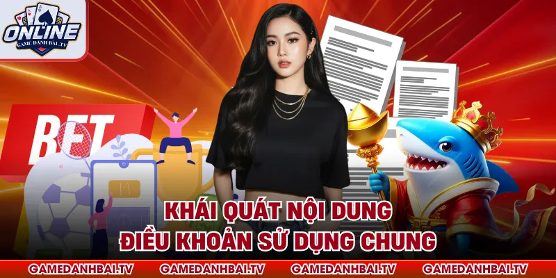 Khái quát nội dung điều khoản sử dụng chung