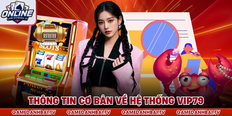 Thông tin cơ bản về hệ thống Vip79
